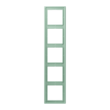 5-gang frame LC32041 LC985217