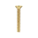 AR401001 Standard screw for Art d'Arnould plates, Memory gold universe