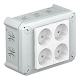 T 100 4MSD WS  Branch box, 4 Schuko sockets 33° white 2+2, 150x116x67, light gray Polypropylene