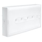 Emergency luminaire URA ONE - std Maintained/Non maintained - 1h - 160 lm - LED