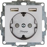 ATHENIS - Unterputz-Schutzkontakt Steckdose, 2 USB-Ladebuchsen, Farbe: stahl