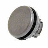 Blanking plug, grey