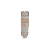 High Speed Fuse-link D D0 Size D01 gR 440VAC 440VDC IEC 10A