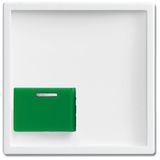 2548-642 C-84 CoverPlates (partly incl. Insert) future®, Busch-axcent®, solo®; carat® Studio white