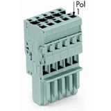 1-conductor female connector CAGE CLAMP® 4 mm² gray