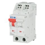 Miniature circuit breaker (MCB) with plug-in terminal, 10 A, 1p+N, characteristic: D