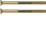 Two-hole screws 2 x M3.5 x 50 mm, TS, gold glossy, 24-carat galvanised