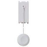 1P NO10A cord-operated push Silver