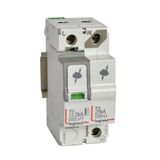 SPD -protection of main distribution board -T1+T2 -limp 12.5 kA/pole -1P+N right