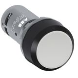 CP2-10R-01 Pushbutton