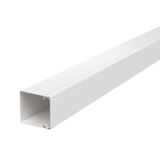 LKM60060RW Cable trunking with base perforation 60x60x2000