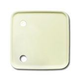 2548-046 A-212 CoverPlates (partly incl. Insert) Data communication White