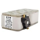 FUSE 1500A 660V 23BKN/55 AR