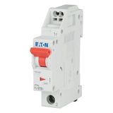 Miniature circuit breaker (MCB) with plug-in terminal, 10 A, 1p, characteristic: D