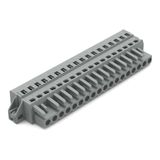 1-conductor female connector CAGE CLAMP® 2.5 mm² gray