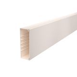 WDK60170CW Wall trunking system with base perforation 60x170x2000