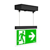 Emergency luminaire AM Duo anthracite, LED, rope surface