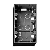 Two gang wall mounting housing, black