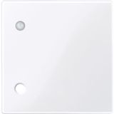 Central plate for pull button, active white glossy, system M