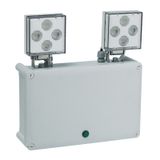 TWIN LEDS SPOTLIGHT EMERGENCY LIGHTING UNIT NON MAINTAINED 2500LM 1H STANDARD