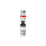 DSN201 AC-C16/0.03 Residual Current Circuit Breaker with Overcurrent Protection