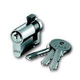 0521 PZ-GS DIN Profile Cylindrical Lock Simultaneous locking with 3 keys - solo