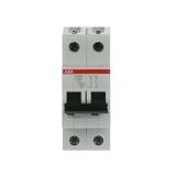 S202L-C40 Miniature Circuit Breaker - 2P - C - 40 A