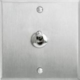 Art d'Arnould universe Two-way memory or lever switch 10A - brushed steel