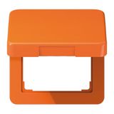 Centre plate with hinged lid CD590BFKLO