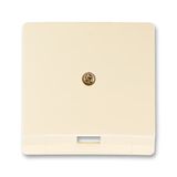 5013G-A00213 C1 Cover for Modular Jack outlet 1-gang