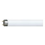 Fluorescent Bulb TL-D 30W/827 T8