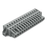 1-conductor female connector CAGE CLAMP® 2.5 mm² gray