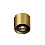 Testo-S LED COB 22W 1540lm 24ø 97 230V IP20 Brushed Brass