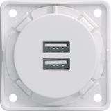 230 V USB charging socket outlet, 2gang, 3.0A, with screw terminals, p