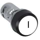 CP11-10W-11 Pushbutton