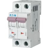 Miniature circuit breaker (MCB), 32 A, 2p, characteristic: B