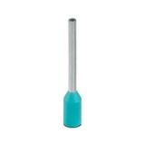 Ferrule