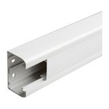 Trunking 80x50 direct clipping