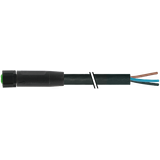 M8 female 0° A-cod. with cable Lite PVC 3x0.25 bk UL/CSA 3m