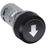 CP9-1021 Pushbutton