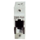 TYTAN II, D02 Fuse switch disconnector, 1-pole, 63A