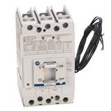 Allen-Bradley, 140G - Molded Case Circuit Breaker, G frame, 65 kA, T/M - Thermal Magnetic, Rated Current 15 A