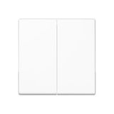 Centre plate for universal 2-gang dimmer A1565.07BFWW