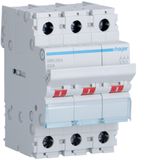 3-pole, 63A Modular Switch with big terminals