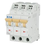 Miniature circuit breaker (MCB) with plug-in terminal, 13 A, 3p, characteristic: D