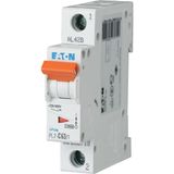 Miniature circuit breaker (MCB), 63 A, 1p, characteristic: B