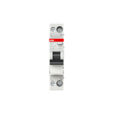 DSN201 A-C10/0.03 Residual Current Circuit Breaker with Overcurrent Protection