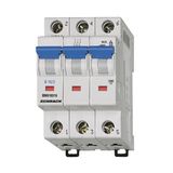 Miniature Circuit Breaker (MCB) D, 50A, 3-pole, 10kA