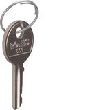 2 Spare keys for SK606