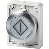 Illuminated pushbutton actuator, RMQ-Titan, flat, momentary, White, inscribed, Front ring stainless steel